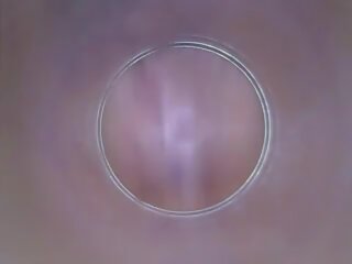 Dildocam – Thin Brunette Showing Her doc Vagina Cervix | xHamster