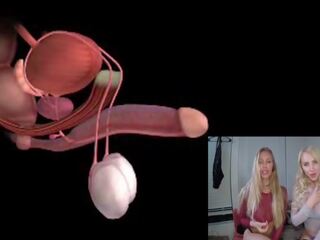 Male Orgasm Anatomy Explained Educational JOI: Free x rated film 85