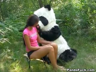 Sex video im die wald mit ein riesig spielzeug panda