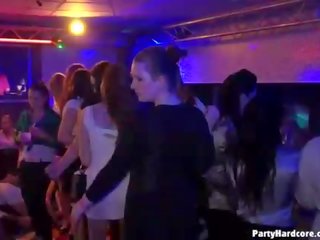 Crazy Party Fucking At The Disco